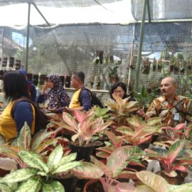 Prodi Biologi Laksanakan Praktek Kuliah Lapangan di UPT Laboratorium Pertanian