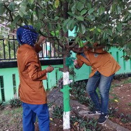 Mahasiswa Pendidikan Biologi Laksanakan Pelabelan Tanaman di SMA N Jumapolo Karanganyar Mahasiswa Pendidikan Biologi Laksanakan Pelabelan Tanaman di SMA N Jumapolo Karanganyar