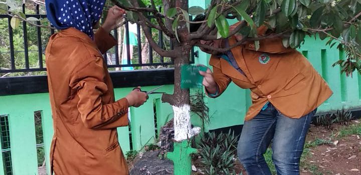 Mahasiswa Pendidikan Biologi Laksanakan Pelabelan Tanaman di SMA N Jumapolo Karanganyar